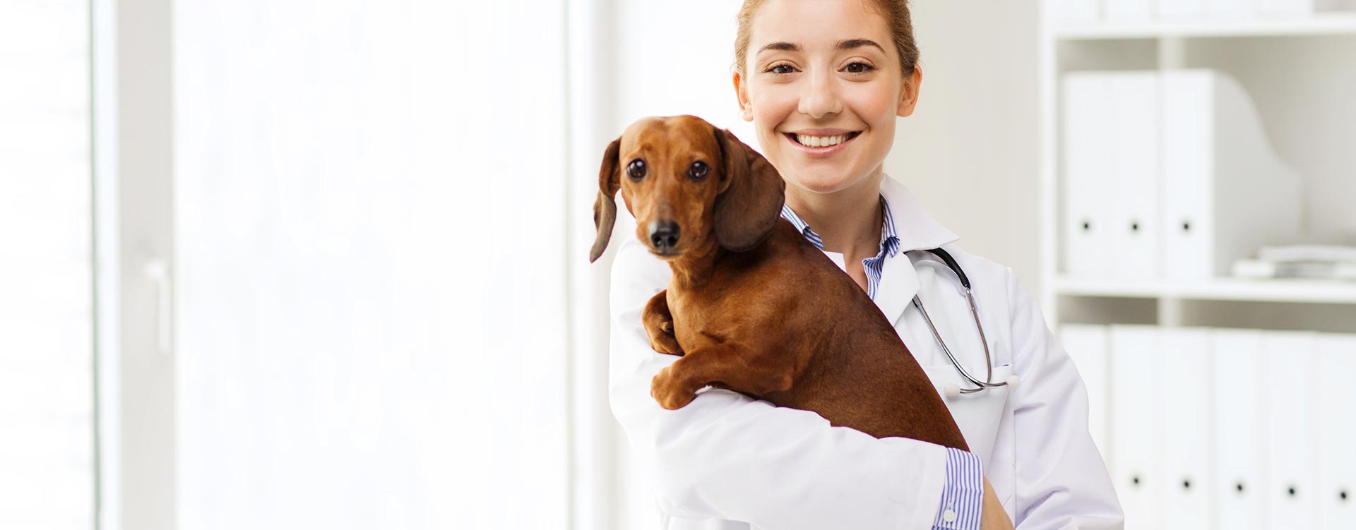 Veterinarian Home